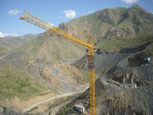 Electric 50Hz Self Climbing Tower Crane With 12ton Lifting Capacity Panel Type