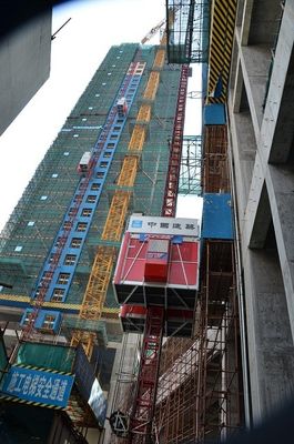 1.6ton/Cage Goods Hoist Lifts/ passenger hoist with VFD cotrol/ hot galvanized mast and cage  customized hoist
